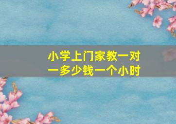 小学上门家教一对一多少钱一个小时