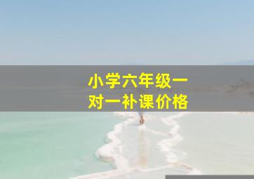 小学六年级一对一补课价格