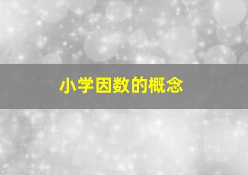 小学因数的概念