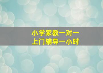 小学家教一对一上门辅导一小时