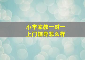 小学家教一对一上门辅导怎么样