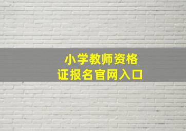 小学教师资格证报名官网入口