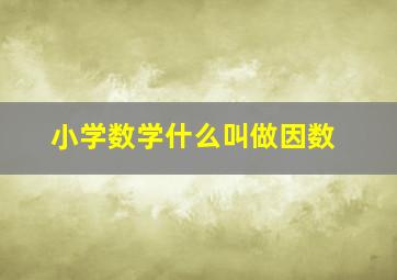 小学数学什么叫做因数