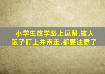 小学生放学路上逗留,被人贩子盯上并带走,都要注意了