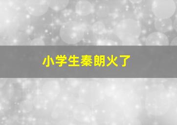 小学生秦朗火了