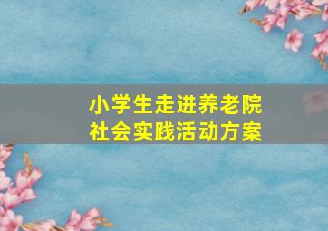 小学生走进养老院社会实践活动方案