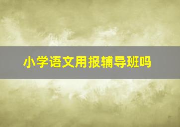 小学语文用报辅导班吗