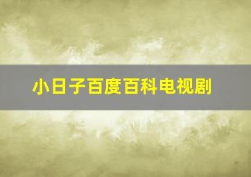 小日子百度百科电视剧