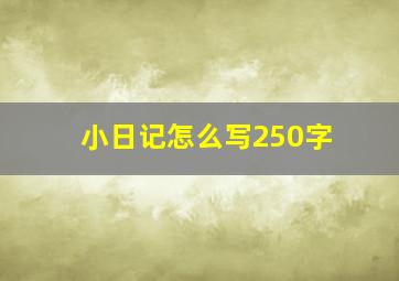 小日记怎么写250字