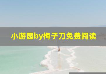 小游园by梅子刀免费阅读