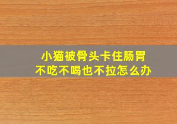 小猫被骨头卡住肠胃不吃不喝也不拉怎么办