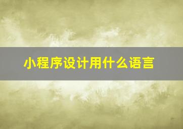 小程序设计用什么语言