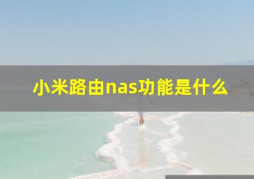 小米路由nas功能是什么