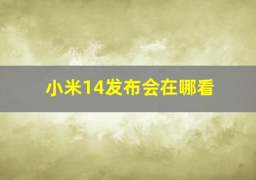 小米14发布会在哪看