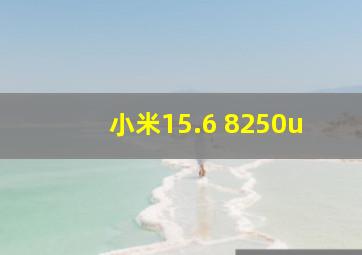 小米15.6 8250u