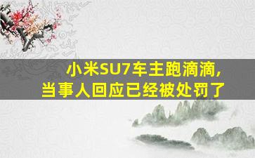 小米SU7车主跑滴滴,当事人回应已经被处罚了