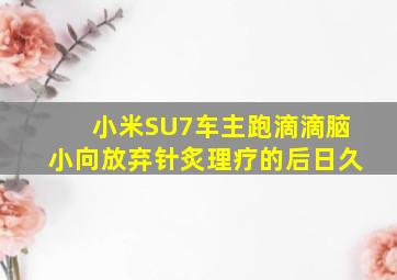 小米SU7车主跑滴滴脑小向放弃针炙理疗的后日久