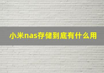 小米nas存储到底有什么用