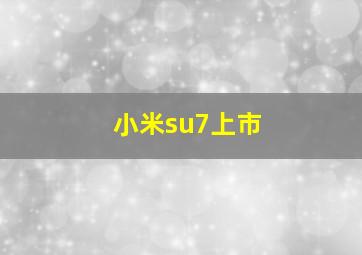 小米su7上市