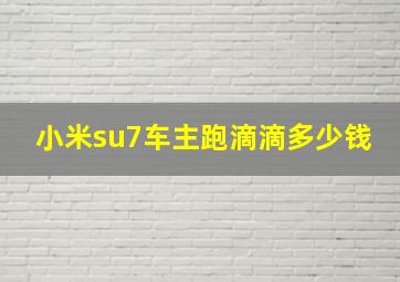 小米su7车主跑滴滴多少钱