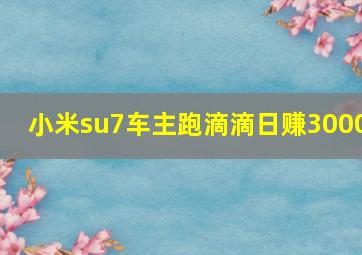 小米su7车主跑滴滴日赚3000