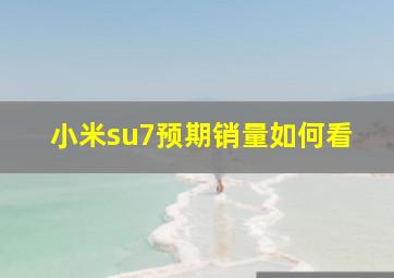 小米su7预期销量如何看