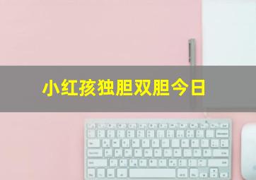 小红孩独胆双胆今日