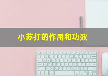 小苏打的作用和功效