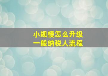 小规模怎么升级一般纳税人流程