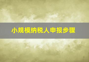 小规模纳税人申报步骤