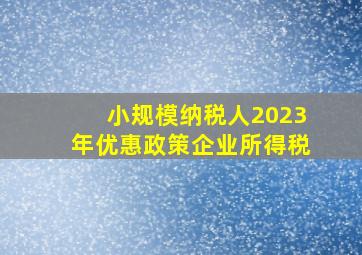 小规模纳税人2023年优惠政策企业所得税