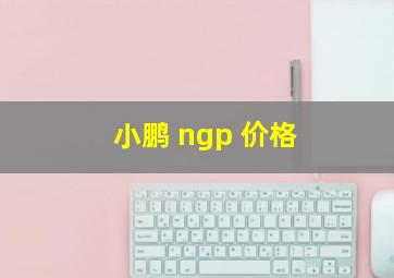 小鹏 ngp 价格