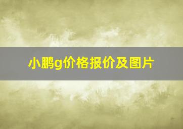 小鹏g价格报价及图片