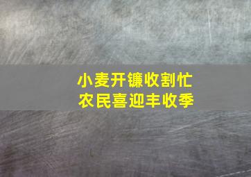 小麦开镰收割忙 农民喜迎丰收季