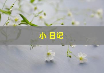 小 日记