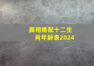 属相婚配十二生肖年龄表2024