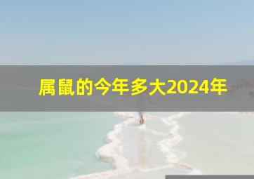 属鼠的今年多大2024年