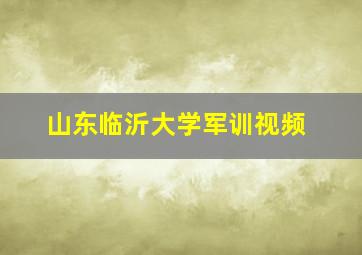 山东临沂大学军训视频