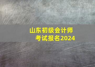 山东初级会计师考试报名2024