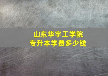 山东华宇工学院专升本学费多少钱