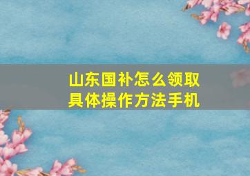 山东国补怎么领取具体操作方法手机