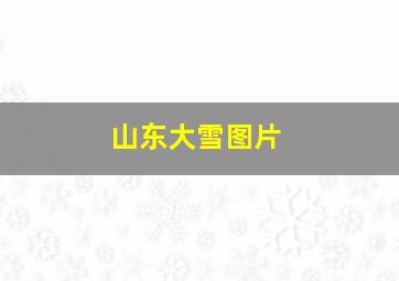 山东大雪图片