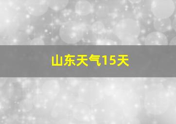 山东天气15天