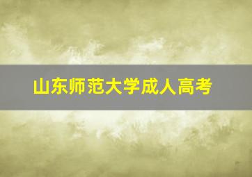 山东师范大学成人高考