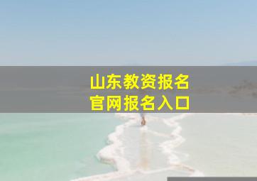 山东教资报名官网报名入口