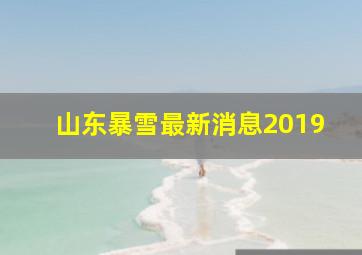 山东暴雪最新消息2019