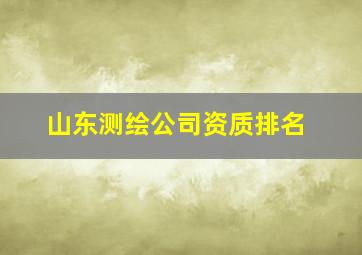 山东测绘公司资质排名