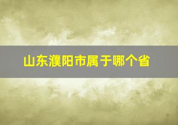 山东濮阳市属于哪个省