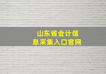 山东省会计信息采集入口官网