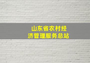 山东省农村经济管理服务总站